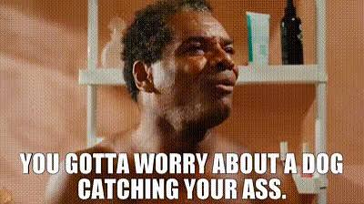 Craig’s father in the movie Friday, mid-scene: “you gotta worry about a dog catching your ass”